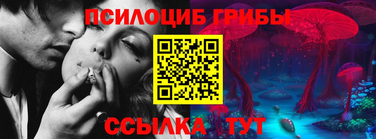 Галлюциногенные грибы Magic Shrooms  Галлюциногенные грибы ЛСД  Вход с VPN  магазин  наркотиков  Бутурлиновка 